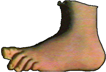 FOOT!